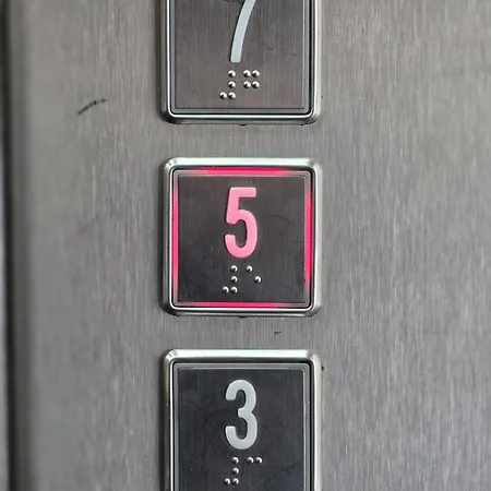 Domatio נובי פאזאר